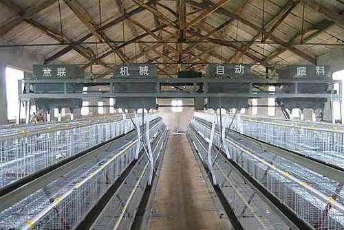 SAP畜牧加工案例 | 意聯(lián)機(jī)械